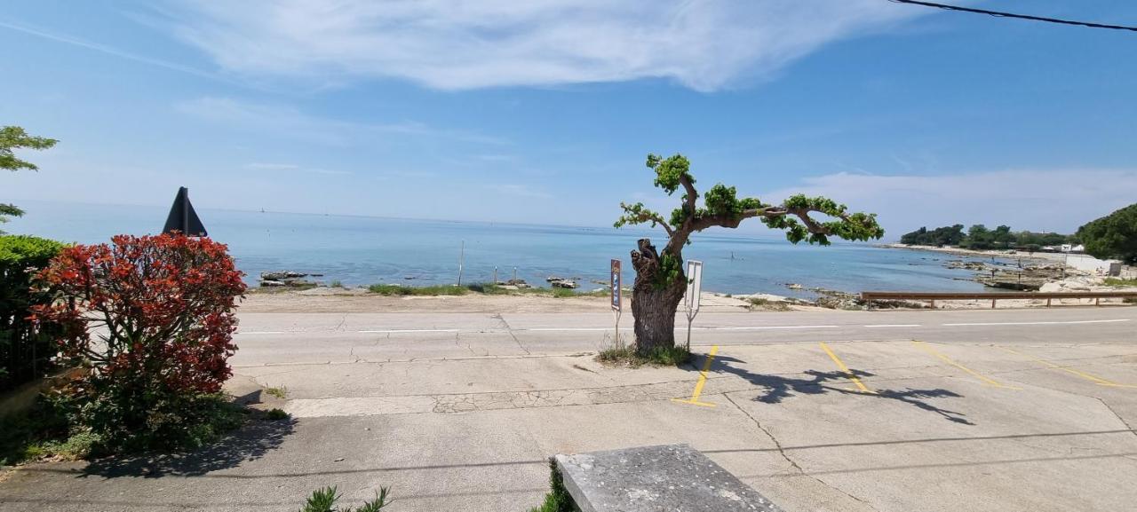 Romantic Apartment For Two On The Sea Zambratija  Exterior photo
